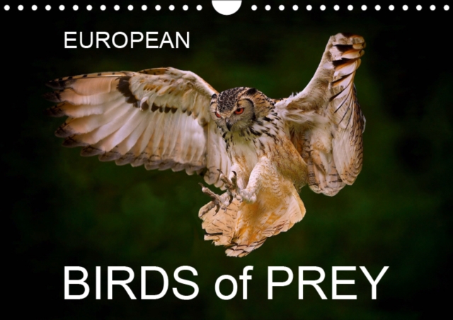 EUROPEAN BIRDS of PREY 2019 : EUROPEAN BIRDS of PREY CALENDAR, Calendar Book