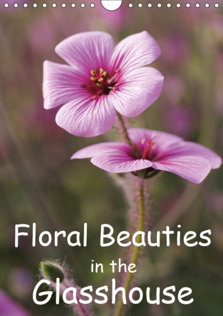 Floral Beauties in the Glasshouse 2019 : Portraits of delicate flowers, Calendar Book