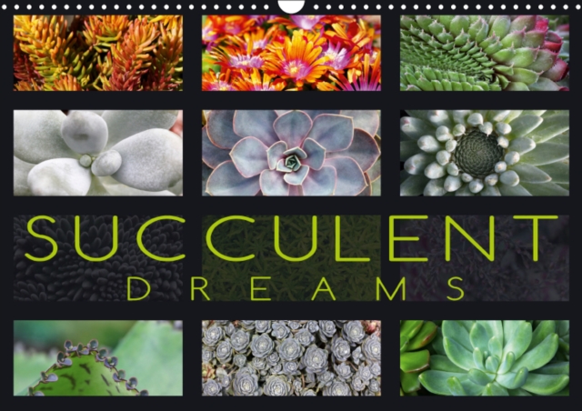 Succulent Dreams 2019 : Beautiful portraits of selected succulents, Calendar Book