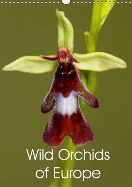 Wild Orchids of Europe 2019 : Beautiful photos of wild orchids found in Europe, Calendar Book