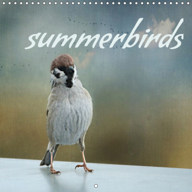 summerbirds 2019 : Birds in summer, Calendar Book