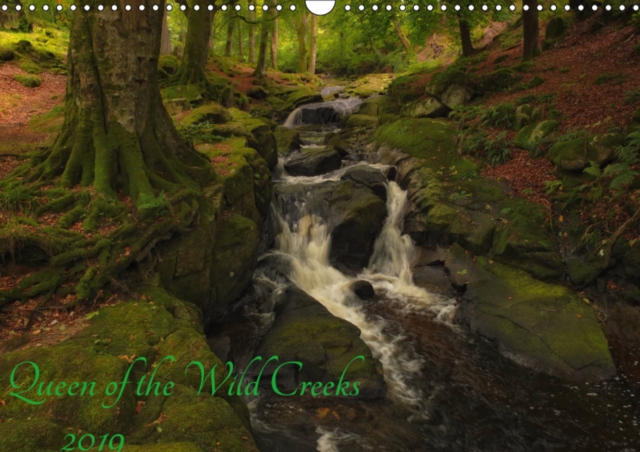 Queen of the Wild Creeks 2019 : Meet the unique color palettes Wild Brown Trout, Calendar Book