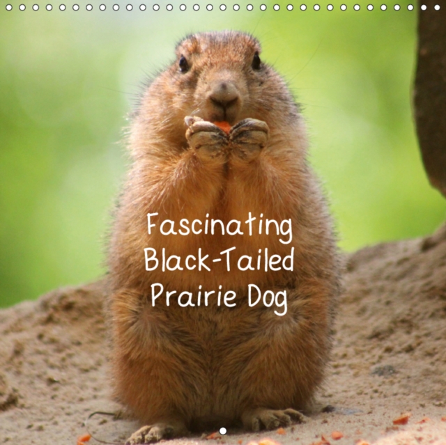 Fascinating Black-Tailed Prairie Dog 2019 : The lively black-tailed prairie dog is a member of the squirrel family and lives normally in small colonies., Calendar Book