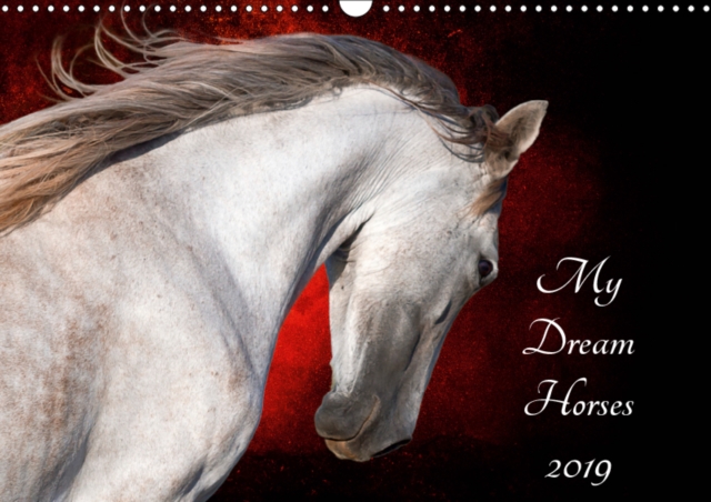 My Dream Horses 2019 2019 : Horse photography in a different way, Calendar Book
