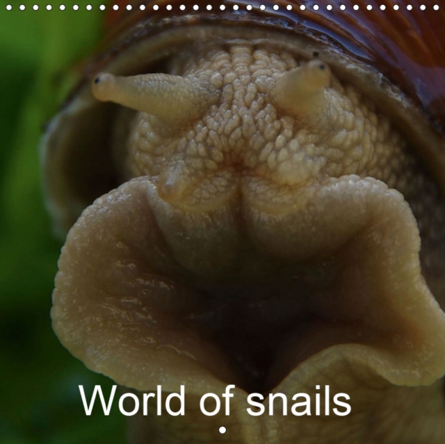 World of snails 2019 : Nature and living, Calendar Book