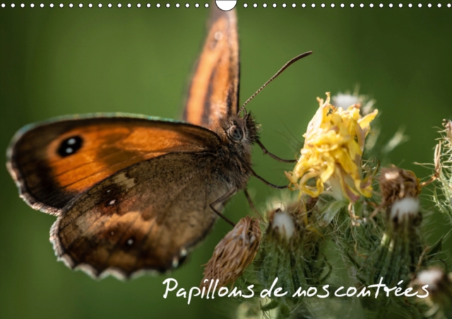 Papillons de nos contrees 2019 : Palette de peintures de la nature, Calendar Book