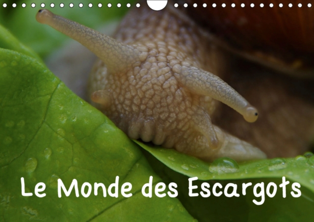 Le Monde des Escargots 2019 : Escargots dans notre paysage, Calendar Book
