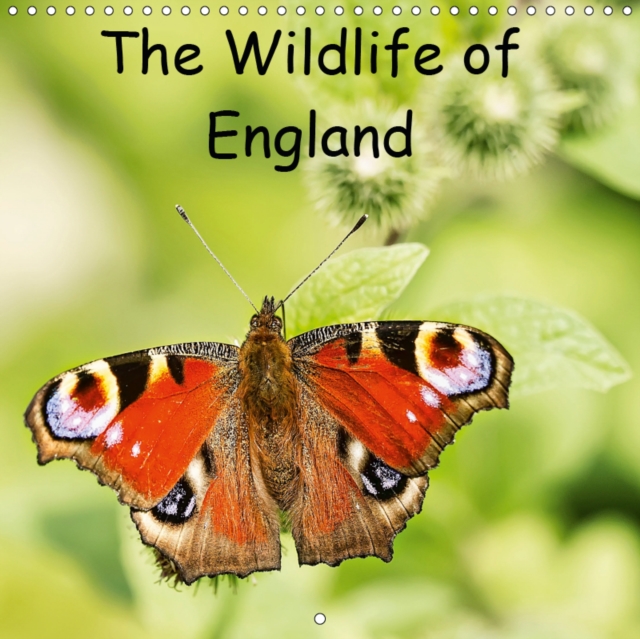 The Wildlife of England 2019 : Photos of birds and insects from around England., Calendar Book