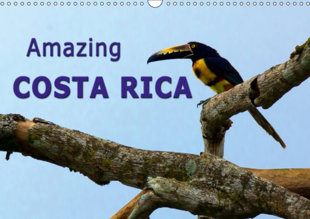 Amazing Costa Rica 2019 : Amazing wildlife in Costa Rica, the destination for nature lovers, Calendar Book