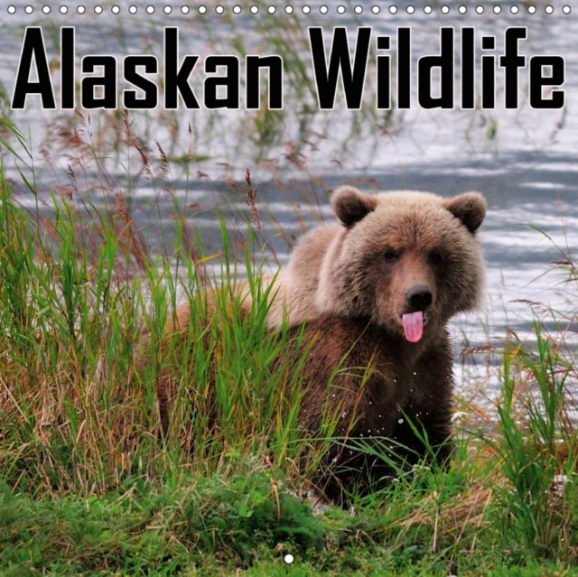 Alaskan Wildlife 2019 : The Paradise of the North, Calendar Book