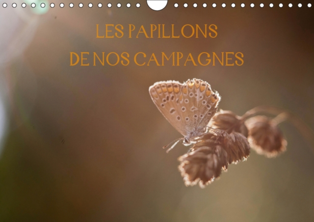 Les papillons de nos campagnes 2019 : Calendrier des papillons des campagnes francaises, Calendar Book
