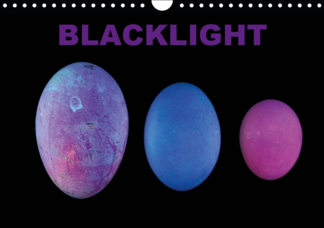 Blacklight 2019 : Monthly calendar, 14 pages, Calendar Book