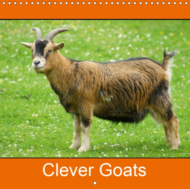 Clever Goats 2019 : Goats and Dwarf Goats, Calendar Book