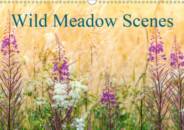 Wild Meadow Scenes 2019 : Wildflower meadows in glorius colour., Calendar Book