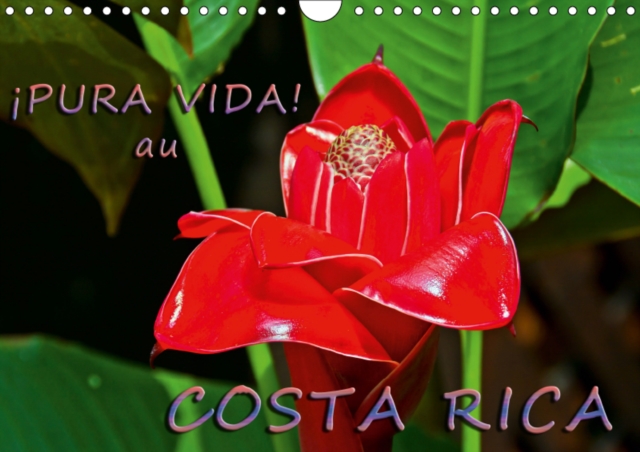 !Pura Vida!  au Costa Rica 2019 : Costa Rica - un pays merveilleux avec une nature magnifique, Calendar Book