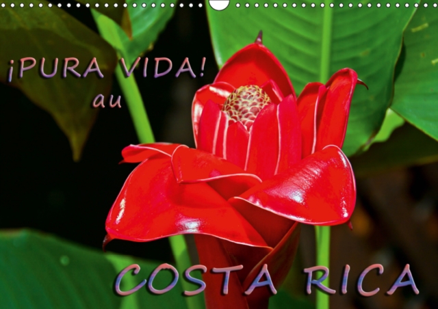 !Pura Vida!  au Costa Rica 2019 : Costa Rica - un pays merveilleux avec une nature magnifique, Calendar Book