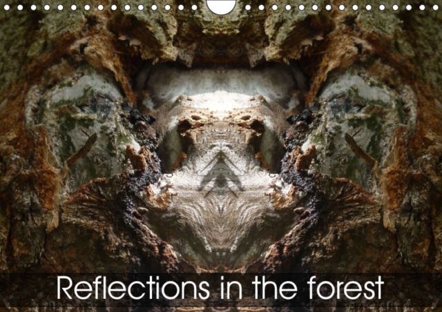 Reflections in the forest 2019 : Dreamworlds in the forest, Calendar Book