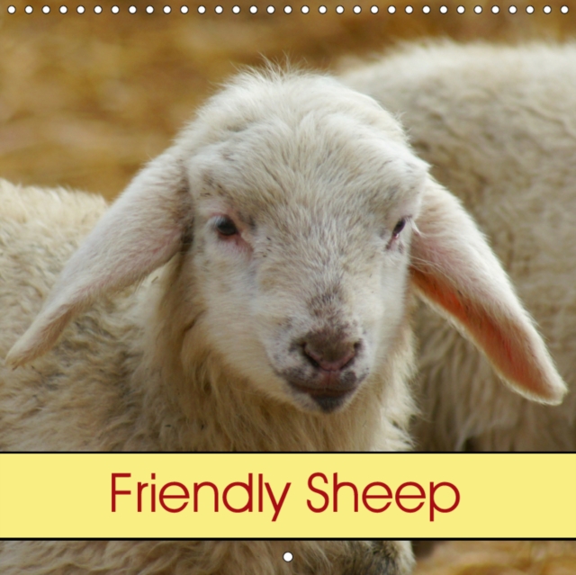 Friendly Sheep 2019 : Farm Animals, Calendar Book