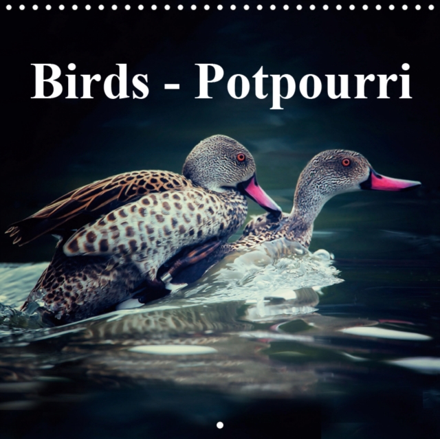 Birds - Potpourri 2019 : A potpourri of different birds from ducks to flamingos, Calendar Book