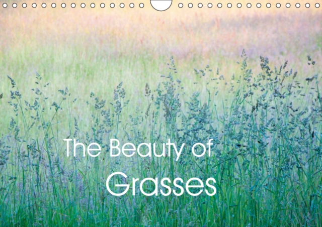 The Beauty of Grasses 2019 : Exquisite photographs of grasses at various times of year, Calendar Book