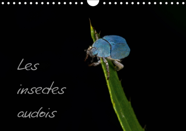 Les insectes audois 2019 : Photographies d'insectes du departement de l'Aude, Calendar Book