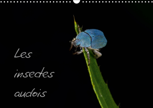 Les insectes audois 2019 : Photographies d'insectes du departement de l'Aude, Calendar Book