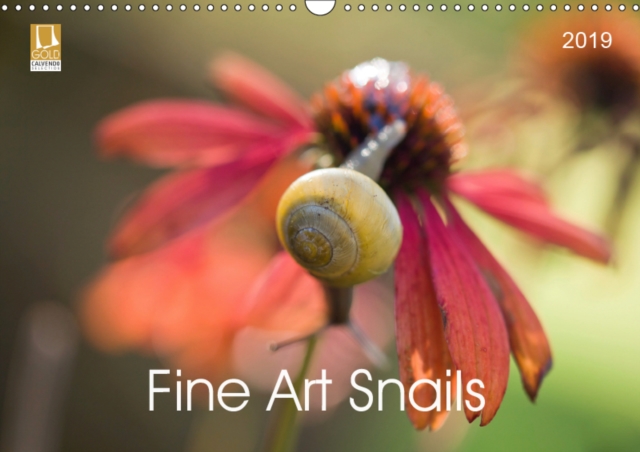 Fine Art Snails 2019 : Funny snails throughout the year, Calendar Book