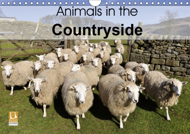 Animals in the countryside 2019 : Rural scenes of livestock out in the countryside of Britain, Calendar Book