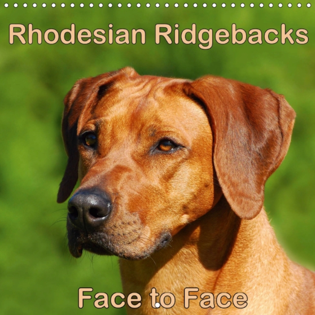 Rhodesian Ridgebacks Face to Face 2019 : Beautiful portraits of the well known dog breed originated in South Africa, the Rhodesian Ridgeback., Calendar Book