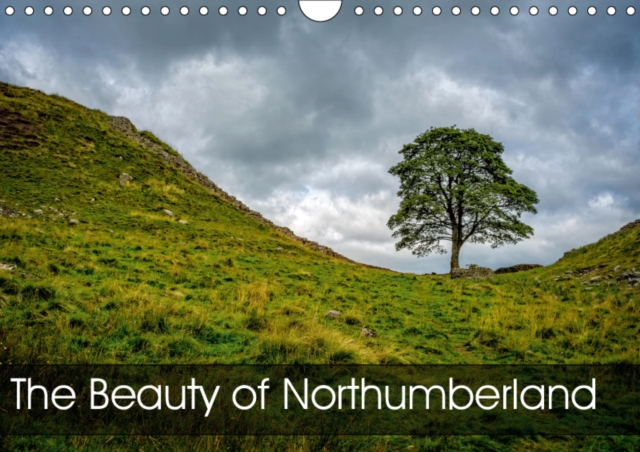 The Beauty of Northumberland 2019 : The Beauty of Northumberland, Calendar Book