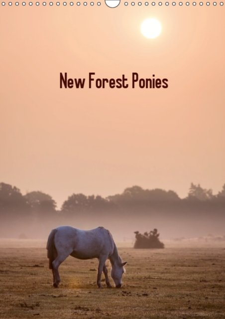 New Forest Ponies 2019 : Calendar of New Forest ponies at sunrise, Calendar Book