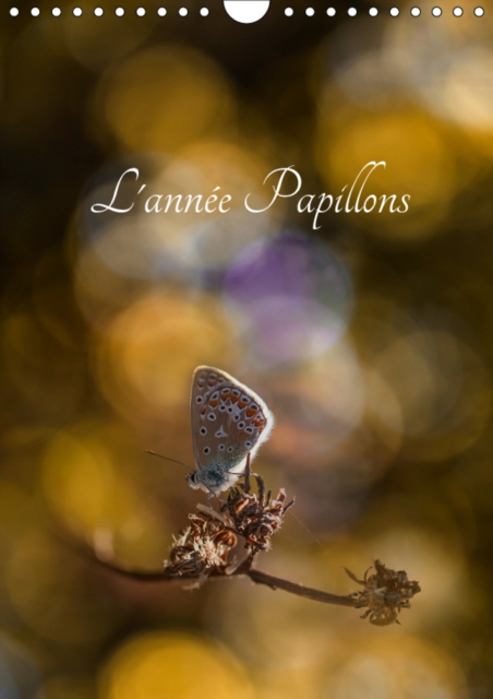 L'annee Papillons 2019 : Calendrier illustre ayant pour theme les papillons, Calendar Book