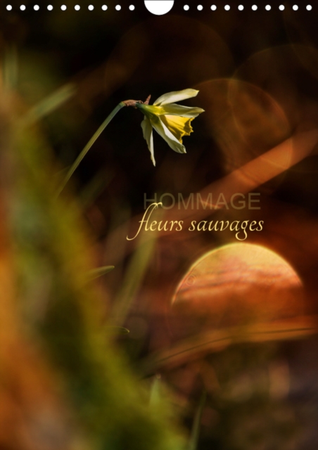 Hommage fleurs sauvages 2019 : Petit hommage aux fleurs de nos campagnes, Calendar Book