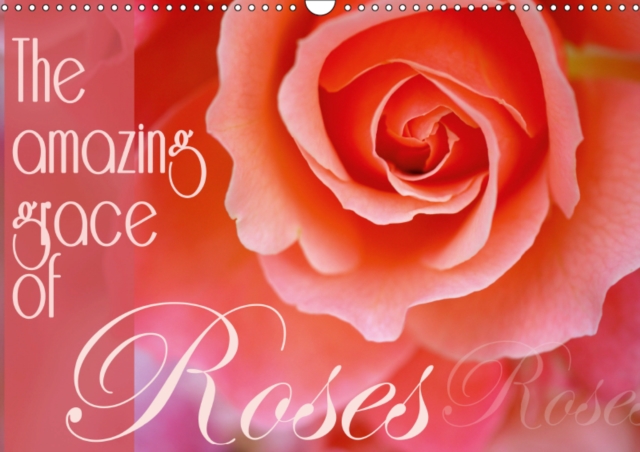 The amazing grace of Roses 2019 : Birthday calendar with lovley portraits of roses., Calendar Book