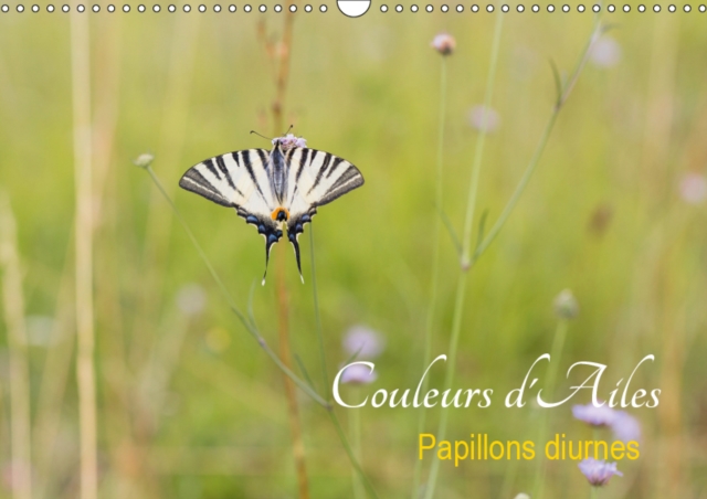 Couleurs d'Ailes 2019 : Papillons diurnes, Calendar Book