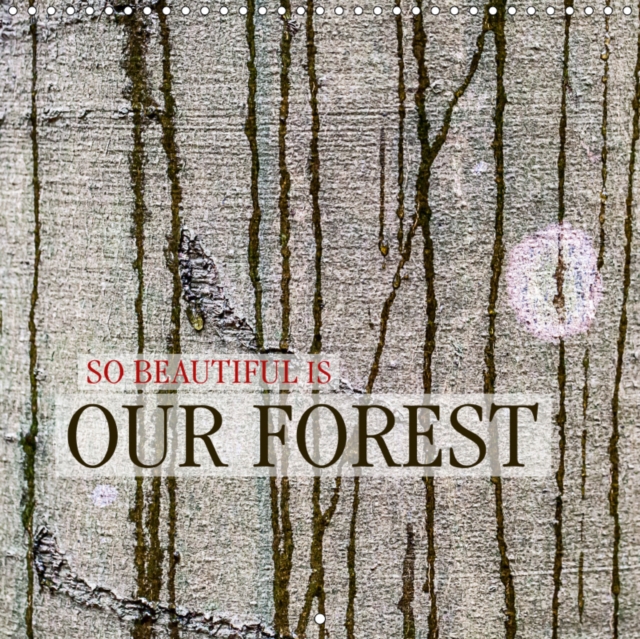 SO BEAUTIFUL IS OUR FOREST 2019 : Wild, colorful, mysterious, Calendar Book