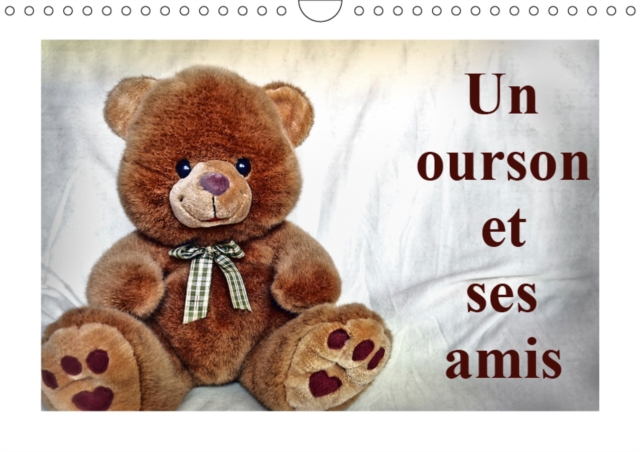 Un ourson et ses amis 2019 : Un merveilleux cadeau pour les petits et les grands qui aiment les oursons., Calendar Book