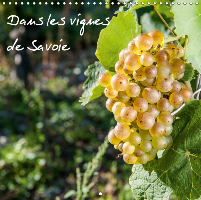 Dans les vignes de Savoie 2019 : Les vignes au pays de Savoie, Calendar Book