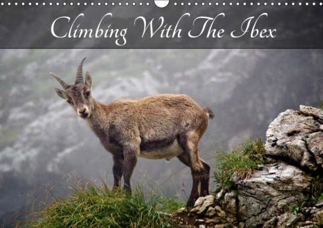 Climbing With The Ibex 2019 : The Allgau Alps, Calendar Book