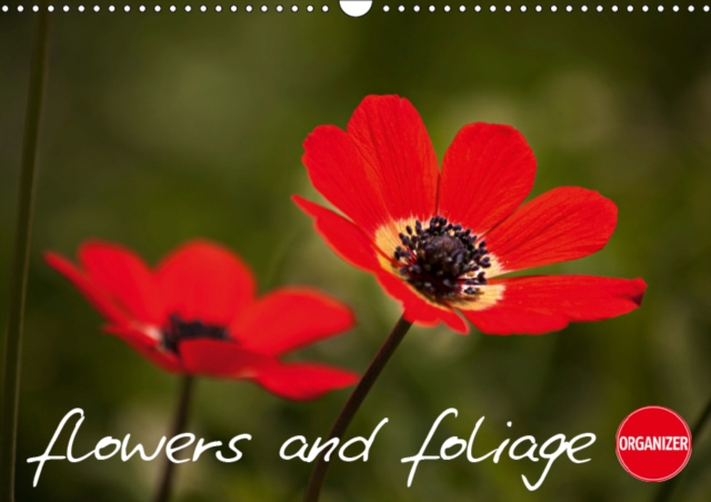 Flowers and Foliage 2019 : Flowers and foliage, both delicate and dramatic., Calendar Book