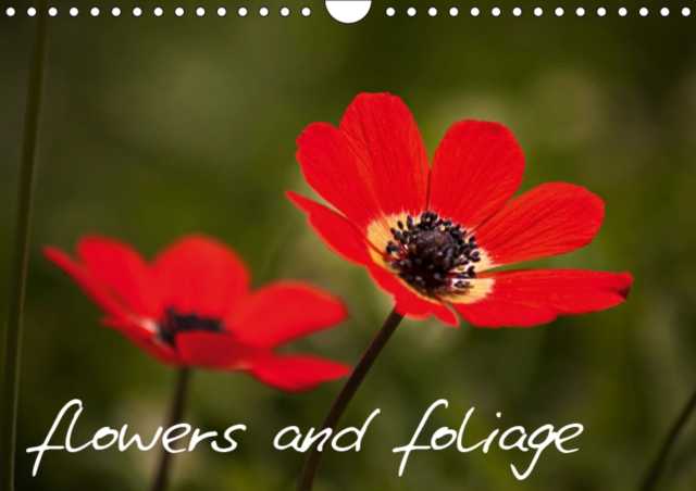 Flowers and Foliage 2019 : Flowers and foliage, both delicate and dramatic., Calendar Book