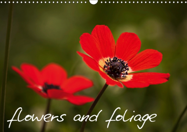 Flowers and Foliage 2019 : Flowers and foliage, both delicate and dramatic., Calendar Book