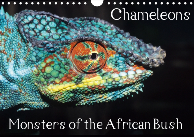 Chameleons Monsters of the African Bush 2019 : Striking Chameleon Portraits, Calendar Book