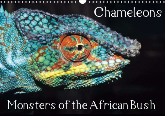 Chameleons Monsters of the African Bush 2019 : Striking Chameleon Portraits, Calendar Book