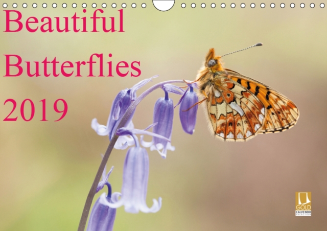Beautiful Butterflies 2019 2019 : Beautiful Butterlies of the uk, Calendar Book