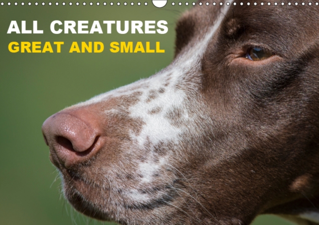 All creatures great and small 2019 : The beauty of animals, Calendar Book