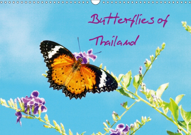Butterflies of Thailand 2019 : Selected for their colour design!, Calendar Book