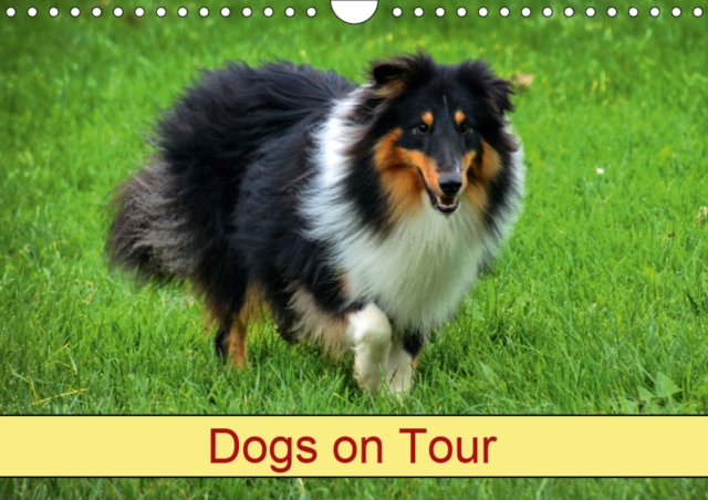 Dogs on Tour 2019 : Pedigree Dogs, Calendar Book