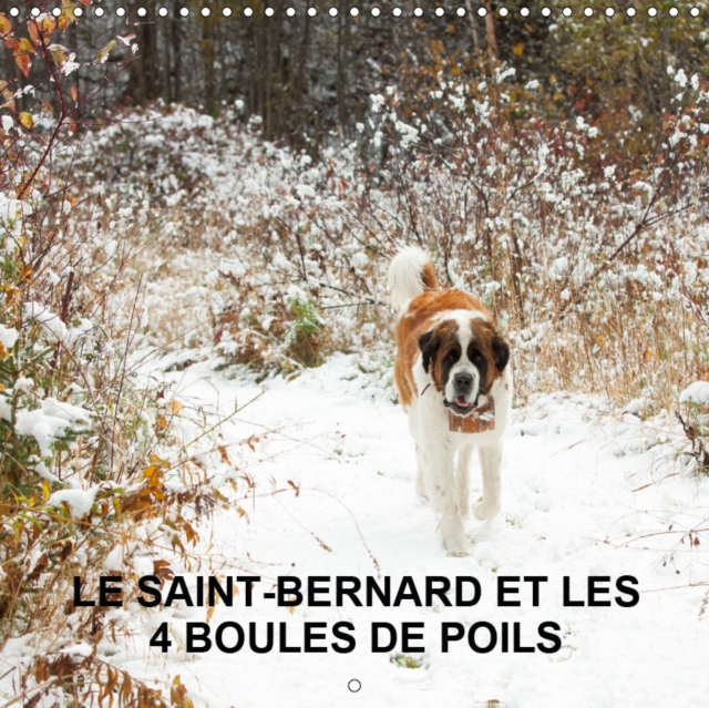 LE SAINT-BERNARD ET LES 4 BOULES DE POILS 2019 : Gardiennage de 5 animaux domestiques en pleine nature, Calendar Book