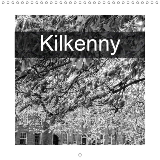 Kilkenny 2019 : Medieval Irish city in dramatic black and white, Calendar Book